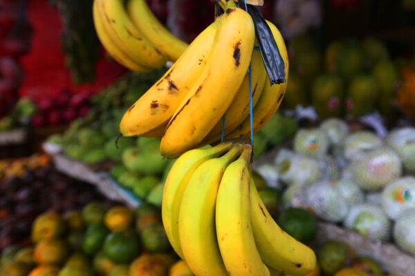 10 Makanan Kaya Nutrisi yang Wajib Dikonsumsi Ibu Hamil