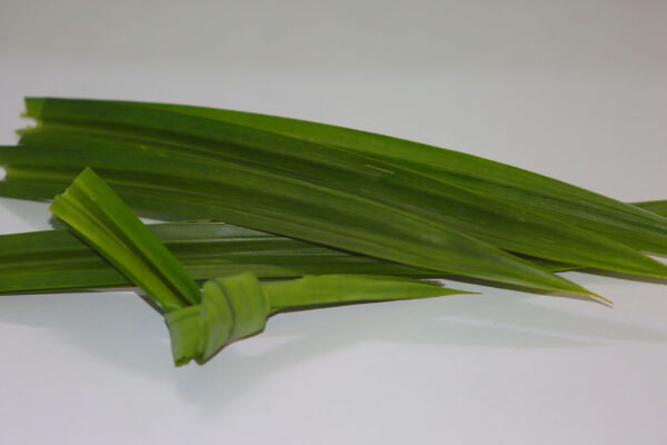 5 Manfaat Daun Pandan, Bikin Gula Darah Ambyar