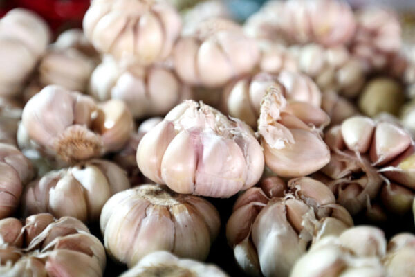 7 Khasiat Konsumsi Bawang Putih Mentah untuk Hipertensi yang Luar Biasa