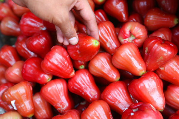 7 Manfaat Jambu Air, Ampuh Kendalikan Gula Darah