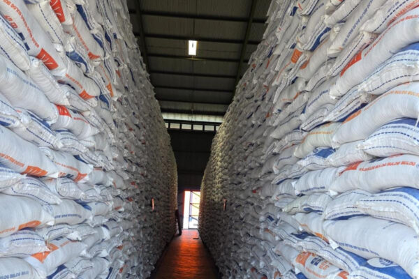 Amankan Serapan Gabah Pada Panen Raya, Bulog Lakukan Sewa Gudang