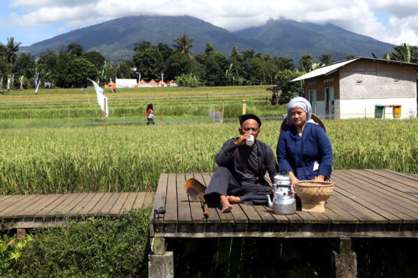 Benih Unggul dan Adopsi Teknologi Jadi Rahasia Sukses Petani