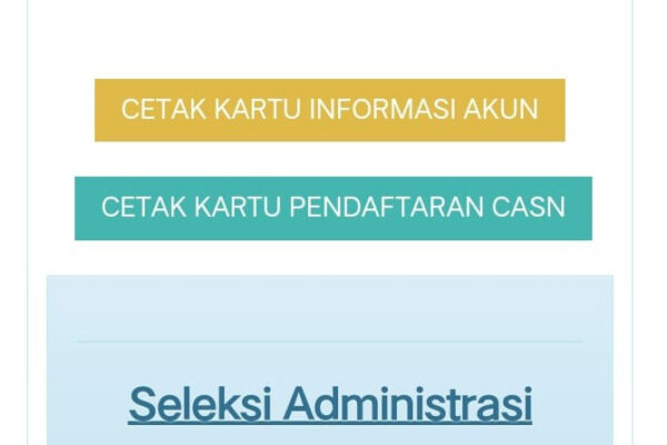 Besok Tes PPPK Tahap 2 Dimulai, Honorer Belum Bisa Cetak Kartu Ujian