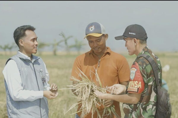 BULOG Serap 2.000.524 Ton Setara Beras, Stok Nasional Tembus 3,6 Juta Ton