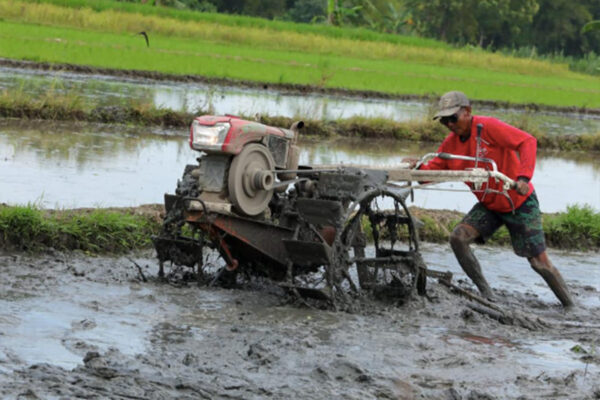 Dukung Swasembada Pangan, Pemkab Mukomuko Merehabilitasi 110 Jaringan Irigasi