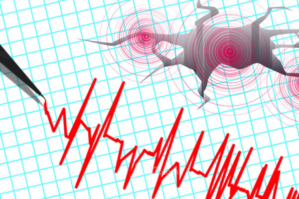Gempa di Bengkulu Hari Ini Magnitudo 6,3