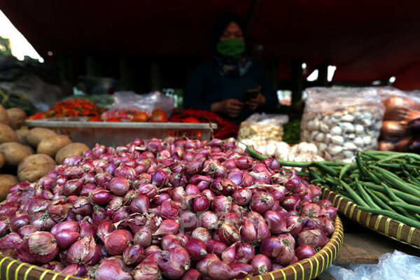 Harga Pangan Hari Ini Cukup Baik, Mak-Mak Pasti Senang