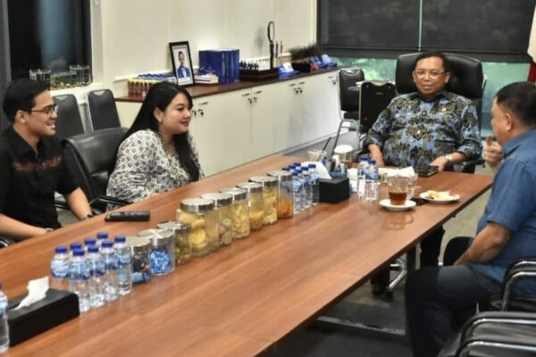 Hillary Lasut Ungkap Peran Besar Sekjen Herman Khaeron dalam Program Kreatif UMKM Demokrat