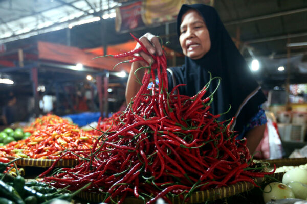 Jelang Lebaran 2025, Harga Pangan Naik, Nyaris di Semua Komoditas