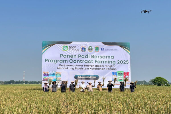 Panen Padi 600 Hektare di Karawang, Pramono Sebut untuk Kebutuhan Warga Jakarta