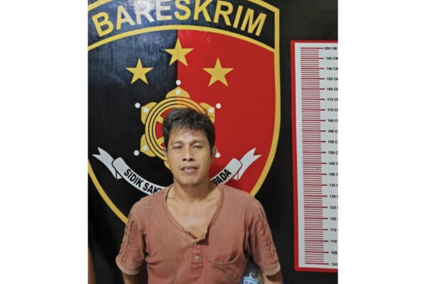 Pencuri Buah Sawit di Musi Rawas Ditangkap