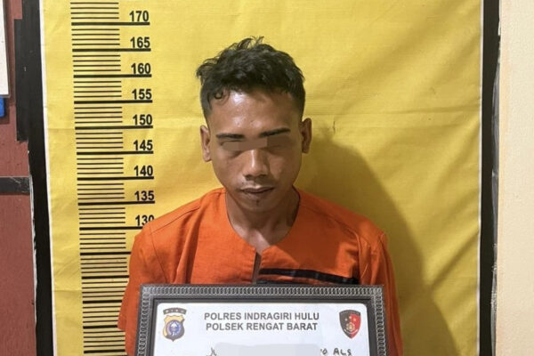 Tak Berkutik, Pengangguran Perkosa IRT, Ditangkap Polres Inhu Setelah Beraksi