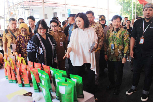 Wamen PPPA Dorong Kesetaraan Perempuan Lewat Pemberdayaan Ekonomi Keluarga