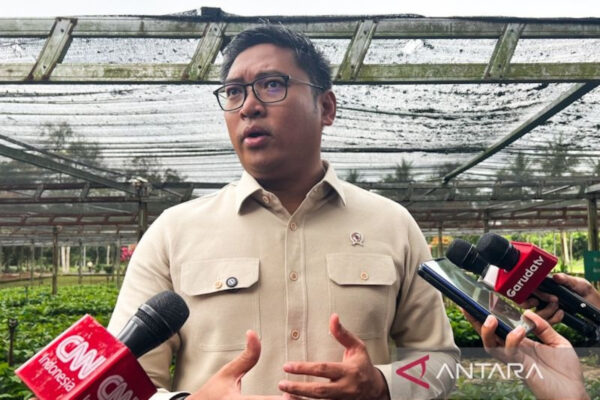 Wamentan Sudaryono Sebut Stok & Harga Pangan Aman Terkendali Menjelang Iduladha 2025