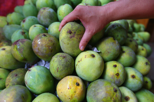 5 Manfaat Mangga, Bantu Turunkan Risiko Serangan Kanker