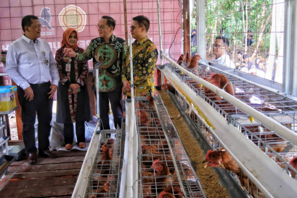Charoen Pokphand Hibahkan Kandang Ayam Petelur untuk Sleman dan Gunungkidul