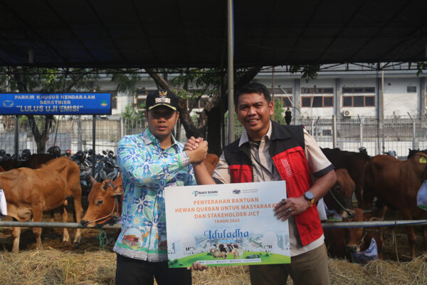 JICT Serahkan 42 Ekor Sapi Kurban untuk Masyarakat Sekitar Pelabuhan