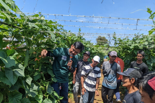 Dorong Kesuksesan Petani, Ewindo Perbanyak Layanan Learning Farm