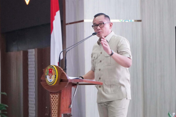 Fiktif Positif, Inovasi Perizinan Baru untuk Dorong Investasi Daerah