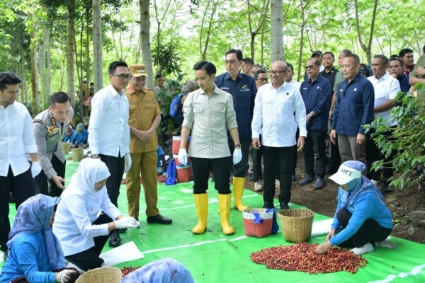 Kunjungi PMO Kopi Perhutani di Bondowoso, Wapres Gibran Bilang Begini